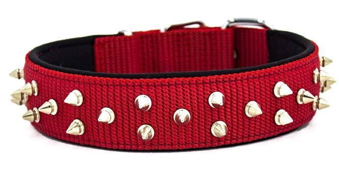 Doggie 52-60 cm Ayarlanabilir Boyun Köpek Tasması Kırmızı
