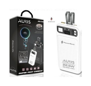 Auris ARS-Y310 22000 mAh Hızlı Şarj Işıklı Dijital Göstergeli USB Type C Çoklu Bağlantı Powerbank Siyah
