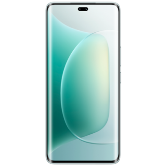 Honor 300 Pro 256 GB Hafıza 12 GB Ram 6.78 inç 50 MP Çift Hatlı AMOLED Ekran Android Akıllı Cep Telefonu Siyah