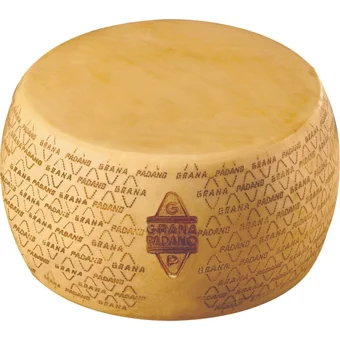 Cibus Grano Padano Parmesan İnek Peyniri 3 kg