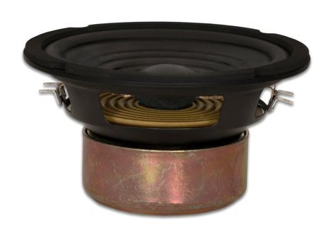 Goldwood Sound, Inc. GW-406D 165 mm Mini Subwoofer Siyah
