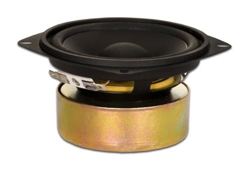 Goldwood Sound, Inc. GW-204/8S 70 W 65 mm Mini Subwoofer Siyah