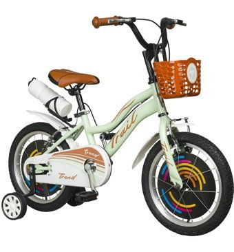 Traill TR100 16 Jant Vitessiz 4-6 Yaş Yeşil Çocuk Bisikleti