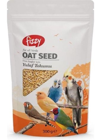 Fizzy Kabuksuz Yulaf Tohumu Vitaminli Yetişkin Kuş Yemi 300 gr