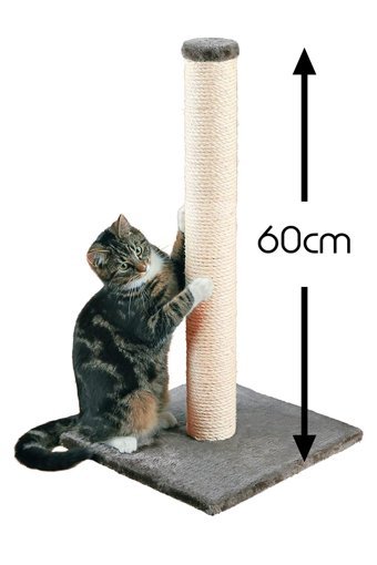 Patiderm 60 cm Kedi Tırmalama Direği