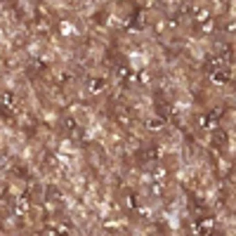 Wet N Wild Color Icon E352C Toz Glitter Tekli Far Altın