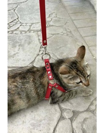 Angels Passion Harness NPC005 Güvenlikli Kırmızı Gezdirme Boyun Kedi Tasması