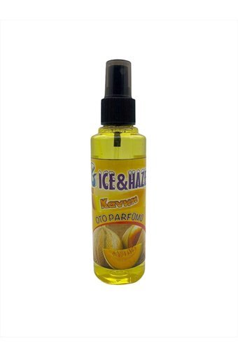 Trax Kavun Oda Kokusu 170 ml