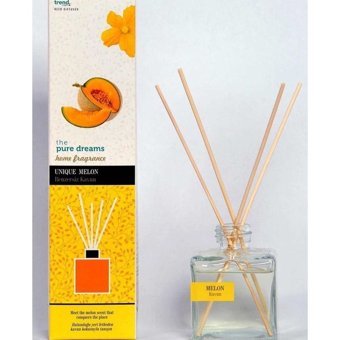 Trend Kavun Oda Kokusu 100 ml