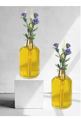 Junibeliw Hindistan Cevizi Oda Kokusu 2X50 ml