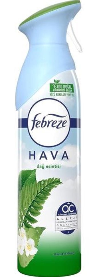 Gfc Life Store Dağ Esintisi Oda Kokusu 300 ml