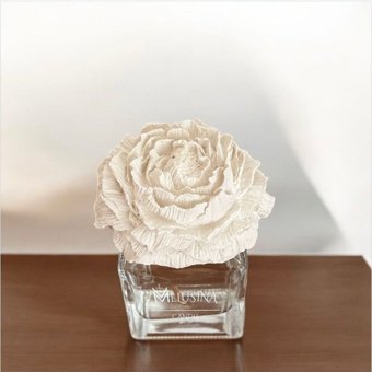 Melusina Candle Fitilli Şakayık Taşlı Okyanus Esintisi Oda Kokusu 100 ml