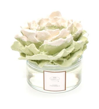 Mumevi Taşlı Gardenya Oda Kokusu 150 ml