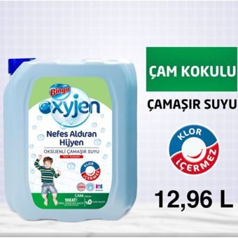 Bingo Nefes Aldıran Hijyen Çam Banyo - Mutfak İçin Sıvı Çamaşır Suyu 4x3.24 lt