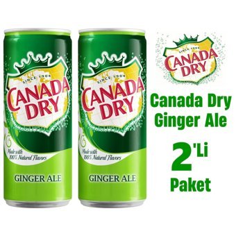 Canada Dry Ginger Ale Zencefilli Gazoz 2x330 ml