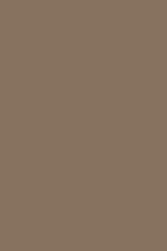 Flormar No:10 Royal Brown Toz Mat Tekli Far Kahverengi