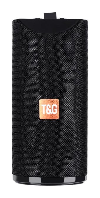 T&G TG113 30 W Radyolu Siyah Bluetooth Hoparlör