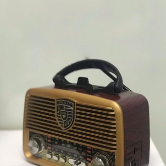 Everton RT-845 5 W Radyolu Kahverengi Bluetooth Hoparlör