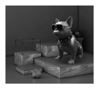 Xhltd Bulldog 40 W Radyolu Siyah Bluetooth Hoparlör