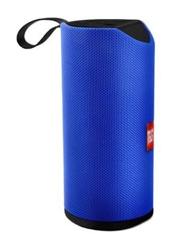 T&G TG113 10 W Radyolu Mavi Bluetooth Hoparlör