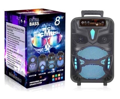 Polygold NDR-P44 10 W Radyolu Işıklı Siyah Bluetooth Hoparlör
