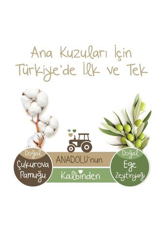 Baby Turco Doğadan Midi 3 Numara Külot Bebek Bezi 34 Adet + Lady Turco Hijyenik Ped 3x7'li