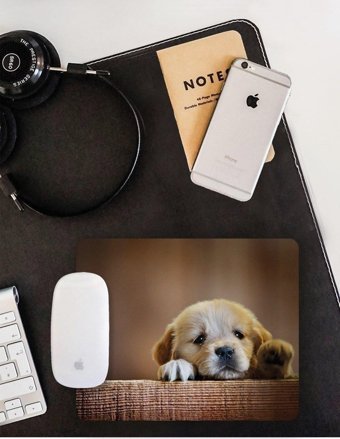 WuW Meraklı Köpek 22x18 cm S Mousepad Çok Renkli