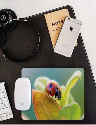 WuW Uğur Böceği 22x18 cm S Mousepad Çok Renkli
