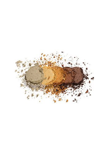 Flormar No:004 Golden Caramel Toz Mat Sedefli Far Paleti