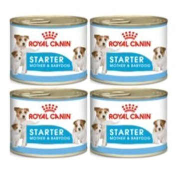 Royal Canin Starter Tavuk Ezme Yavru-Yetişkin Köpek Maması 195 gr 4'lü