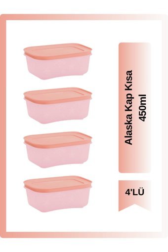 Tupperware Dikdörtgen Plastik Saklama Kabı 4x450 ml