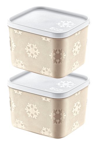 Smartware Set Kare Plastik Saklama Kabı 2x1.25 lt