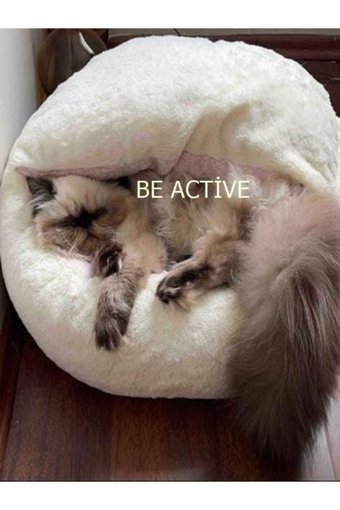 Be Active Afrodit S Peluş Tek Fonksiyonlu 50 cm Simit Kedi Yatağı Bej