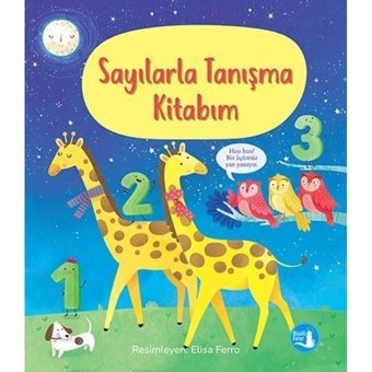 Sayılarla Tanışma Kitabım - Mary Cartwright - Büyülü Fener