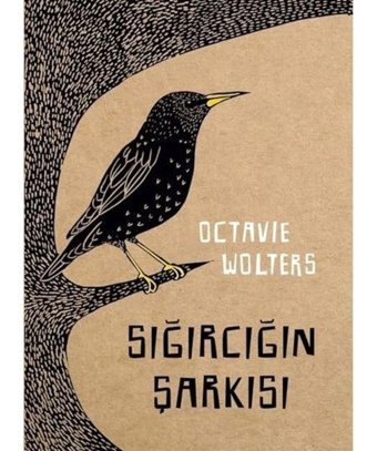 Sığırcığın Şarkısı - Octavie Wolters - Meav Yayıncılık