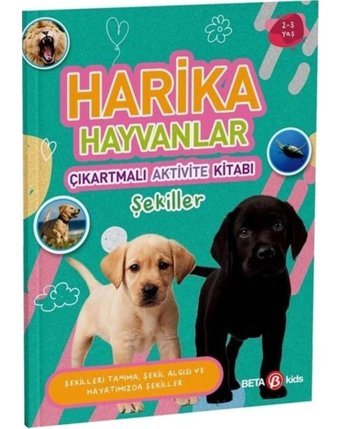 Harika Hayvanlar - Çıkartmalı Aktivite Kitabı - Buket Kurt - Beta Kids