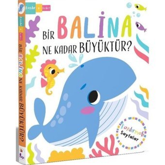Bir Balina Ne Kadar Büyüktür? Kaydır Keşfet - Lisa Regan - İndigo Çocuk