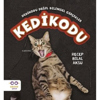 Kedikodu - Recep Bilal Aksu - Cezve Çocuk