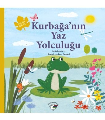 Minik Kuş Kitap Kurbağanın Yaz Yolculuğu