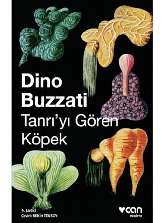 Tanrıyı Gören Köpek - Dino Buzzati - Can Yayınları