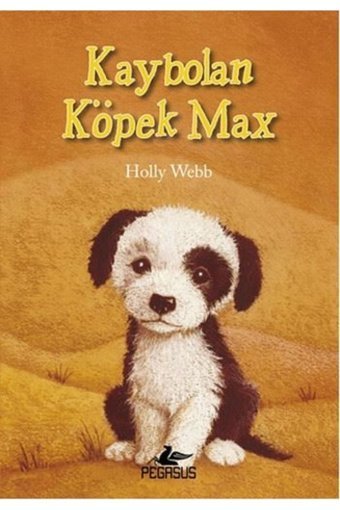Pegasus Yayınları Kaybolan Köpek Max - Holly Webb