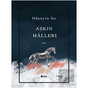 Aşkın Halleri - Hüseyin Su - Şule Yayınları