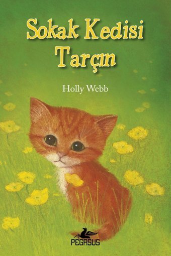 Pegasus Yayınları Sokak Kedisi Tarçın - Holly Webb