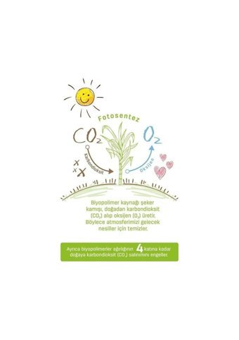 Sleepy Bio Natural 7 Numara Organik Göbek Oyuntulu Cırtlı Bebek Bezi 280 Adet