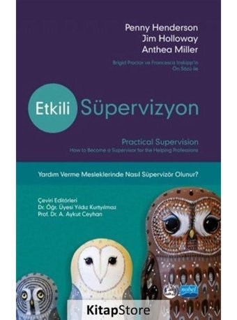 Etkili Süpervizyon - Anthea Miller - Penny Henderson - Nobel Akademik Yayıncılık