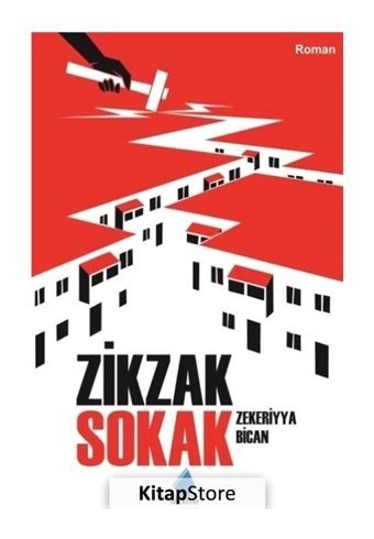 Zikzak Sokak - Zekeriyya Bican - Göl Kitap