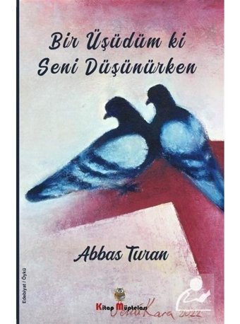 Bir Üşüdüm ki Seni Düşünürken - Abbas Turan - Kitap Müptelası Yayınları