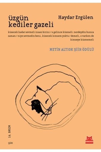 Kırmızı Kedi Yayınları Üzgün Kediler Gazeli