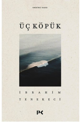Profil Kitap Üç Köpük, Ibrahim Tenekeci, , Üç Köpük Kitabı, 46 Sayfa