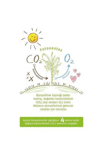 Sleepy Bio Natural 6 + Numara Organik Göbek Oyuntulu Cırtlı Bebek Bezi 12x16 Adet